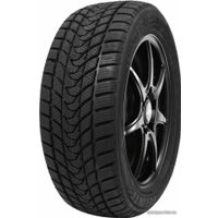 Зимние шины Delinte Winter WD1 215/45R17 91H