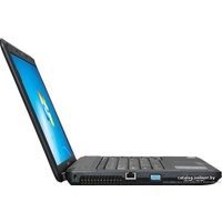 Ноутбук Lenovo G555 (59035580)
