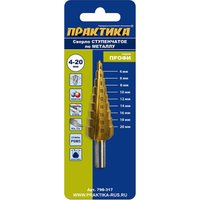 Сверло Практика Профи 798-317