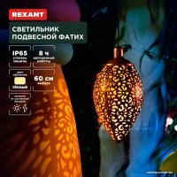 Уличный подвесной светильник Rexant Фатих 602-2402