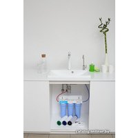 Стационарная система "под мойкой" ECOSOFT Absolute FMV3ECO