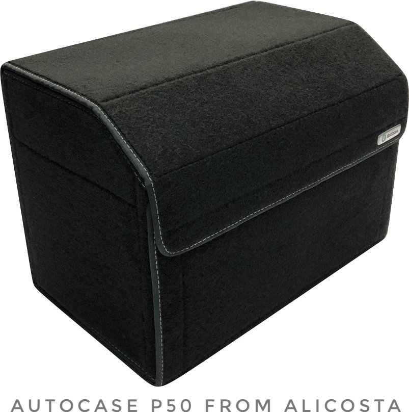 

Органайзер автомобильный Alicosta P50 (черный)