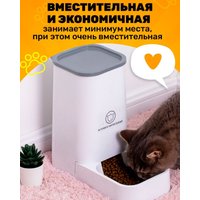Кормушка электронная Classmark 21101605