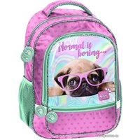 Школьный рюкзак Paso Studio Pets PTM-260