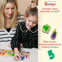 Сортер Alatoys Пазл Логика ПЗЛ51