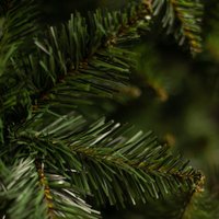 Ель Ёлушка Невская ЕНЕВ 18 (1.8м)