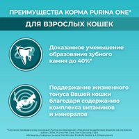 Сухой корм для кошек Purina ONE для домашних с курицей 750 г в Бресте