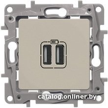 Розетка USB Legrand Etika 6 723 94