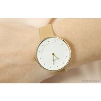 Наручные часы Skagen SKW2137 в Пинске