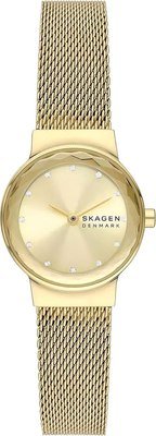 

Наручные часы Skagen SKW3110