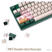 Клавиатура Akko 3098S World Tour London (Akko CS Jelly Pink)