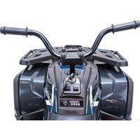 Электроквадроцикл Toyland Qwatro 4х4 ХМХ607 (карбон краска)