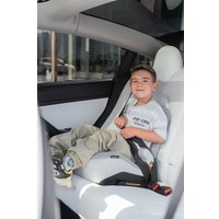 Детское сиденье VipBaby Defender (moonstone)