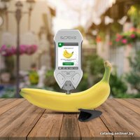 Нитратомеры, дозиметры, экотестеры Соэкс Эковизор F4