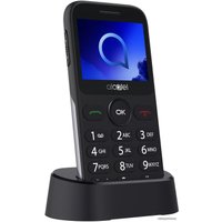 Кнопочный телефон Alcatel 2019G (серебристый)