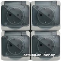 Розетка Tokov Electric TKE-NX-R4Z-C06T-IP54