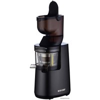 Соковыжималка Biochef Atlas Whole Slow Juicer BCWA (черный)