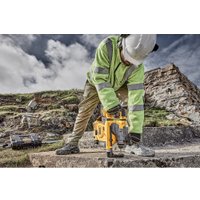 Пылесос DeWalt D25304DH-XJ