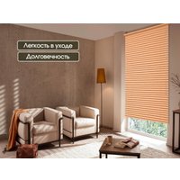 Жалюзи горизонтальные АС МАРТ 330 100x160 (персиковый)