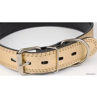 Ошейник Дарэленд простроченный 2х-слойный 35 мм 41-51 см (золотистый)
