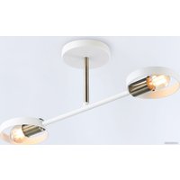 Припотолочная люстра Ambrella light Traditional TR8222/2 WH/SB