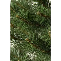 Пихта Erbis Jodla 220