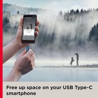 USB Flash SanDisk Ultra Dual Drive Go Type-C 32GB SDDDC3-032G-G46NB