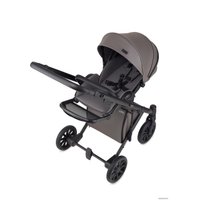 Универсальная коляска Anex E/type 2022 (2 в 1, gothic et-03A)