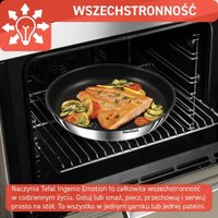 Набор сковород Tefal Ingenio Emotion L897SM74