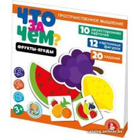 Развивающая игра Десятое королевство Что за чем? Фрукты-ягоды 04697