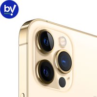 Телефон Apple iPhone 12 Pro Max 256GB Восстановленный by Breezy, грейд B (золотистый)