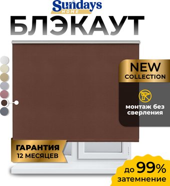 Рулонные шторы Sundays Home LM 168-09 100x160 (коричневый)