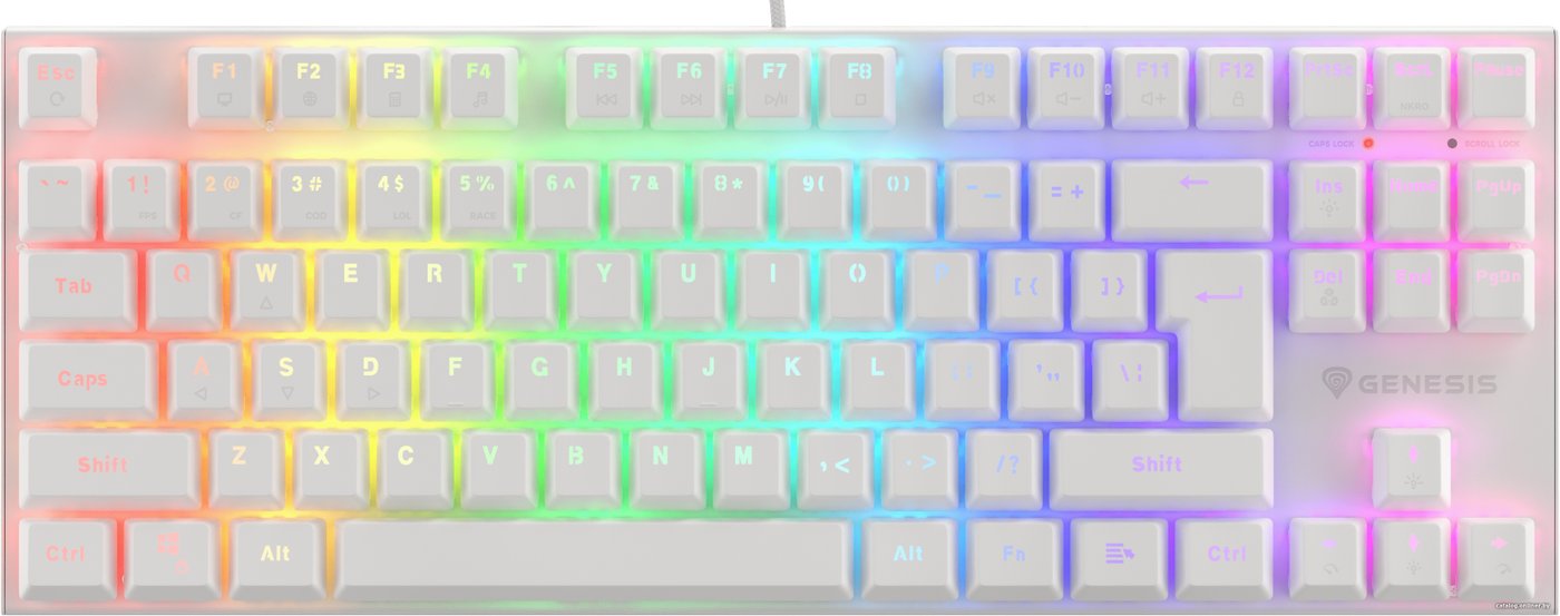 

Клавиатура Genesis Thor 303 TKL RGB (белый, нет кириллицы)