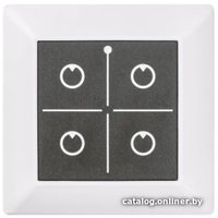 Радиопульт Noolite PU-411 (белый)