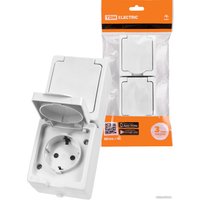 Розетка TDM Electric Вуокса SQ1803-1009