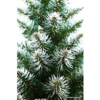 Ель Holiday Trees Альпийская 1.3 м