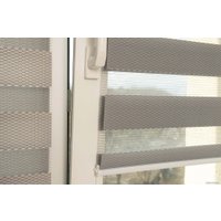 Шторы день-ночь Delfa Сантайм День-Ночь Масо МКД DN-41605 (73x160, серый)