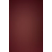 Трусы TOYFA 704020 (One Size) в Гомеле