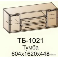 Горка Лером Карина №2 гостиная (ясень асахи) в Лиде