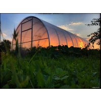 Теплица Велес 40x20/1, 12 м