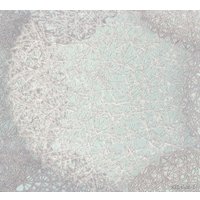 Флизелиновые обои Monte Solaro Samui 9067-04