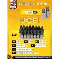 Универсальный набор инструментов JCB JCB-38841 (216 предметов)