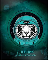 Необычный космонавт 1-11 класс ДУИ-НК