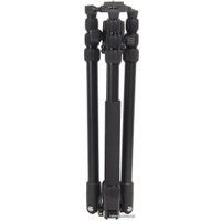 Трипод Raylab Pro 70 (с головой)