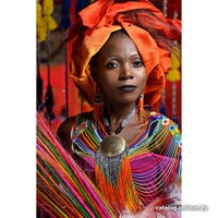 Беззеркальный фотоаппарат Nikon Z9 Body в Гомеле