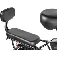 Электровелосипед MyWay Truck 1.0 350 20 (15, черный)