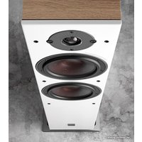 Напольная акустика DALI Oberon 7 Light Oak