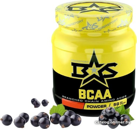 BCAA Binasport BCAA (500г, черная смородина)