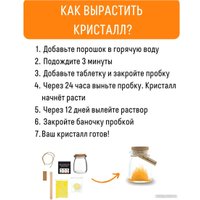 Набор для опытов Bumbaram Кристалл с пожеланием Процветания k6