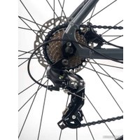 Велосипед Totem Cruiser-29HDA (серый)